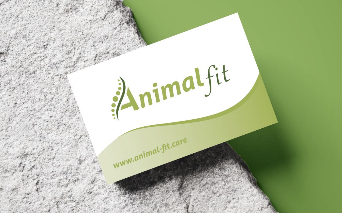 Grafikdesign, Broschuere, Produktkatalog, Gestaltung für Animal Fit