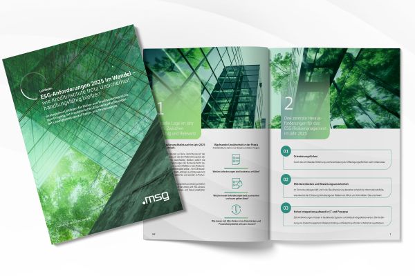 Projekt msg for banking