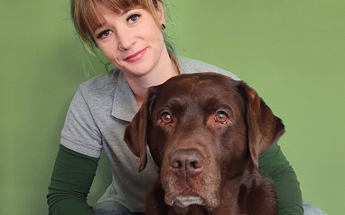 Grafikdesign, Broschuere, Produktkatalog, Gestaltung für Animal Fit