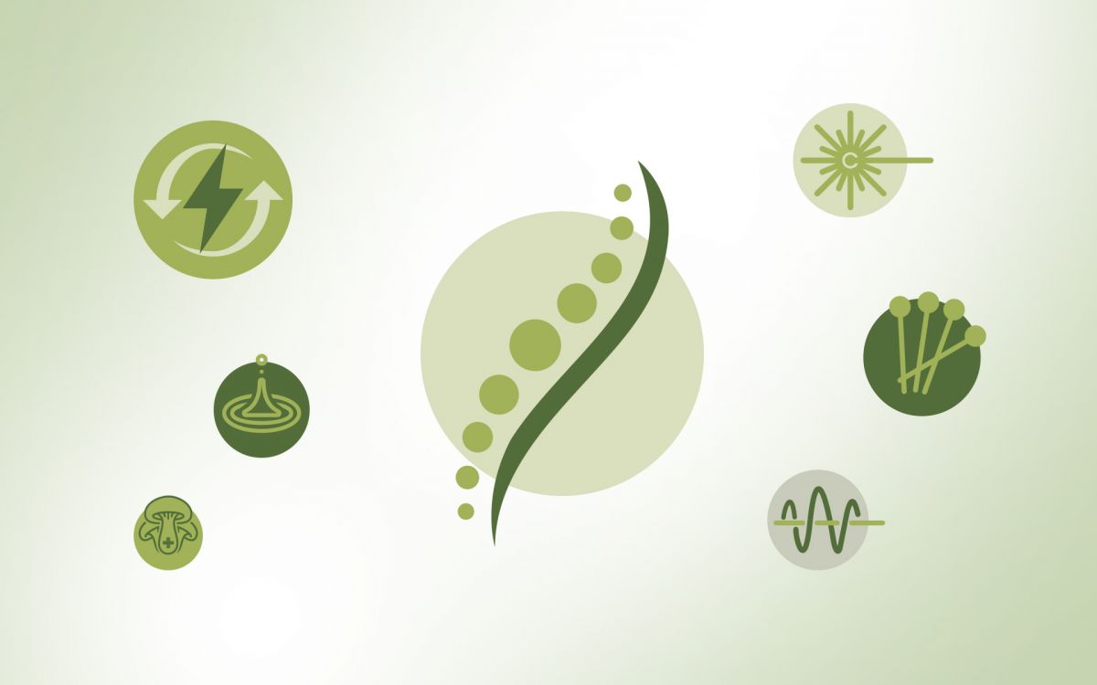 Grafikdesign, Broschuere, Produktkatalog, Gestaltung für Animal Fit