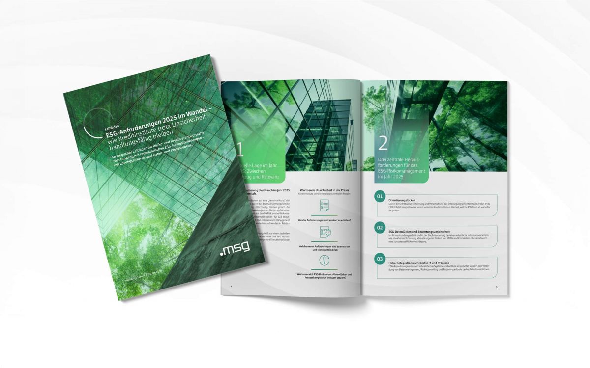 Grafikdesign, Broschuere, Produktkatalog, Gestaltung für msg for banking